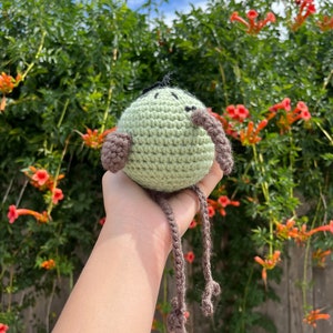 Crochet Kiwi Bird | Handmade Kiwi Plushie | Kiwi Bird Plush Toy