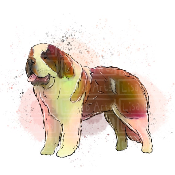 St Bernard Clip Art PNG Download Sublimation Design Etsy