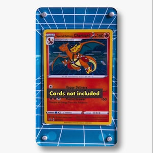 Special Delivery Charizard - Etsy