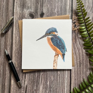 Eisvogel Karte • Vogel • Eisvogel Grußkarte • Grußkarte • Blanko Innenseite