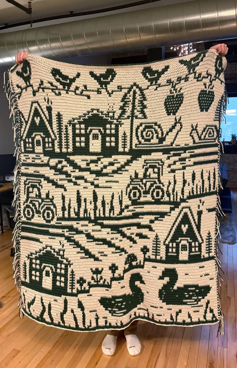 May include: A cream-colored, crocheted blanket with a dark green countryside design. The blanket features houses, tractors, birds, snails, and swans. The edges have a fringe. The blanket is held up by a person.