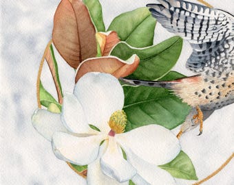 Kestrel and Magnolia print, original watercolor art, 8x10