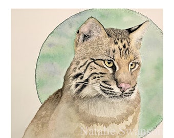 Bobcat watercolor Giclee print, original art, 8x10