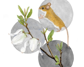 Mouse and Pawpaw print, original watercolor art, 8x10