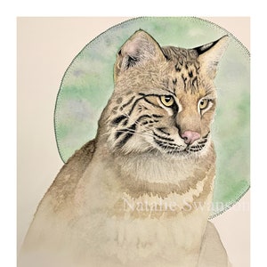 Bobcat watercolor Giclee print, original art, 8x10