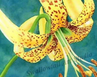 Pot-Of-Gold Lily- Giclee art print, watercolor