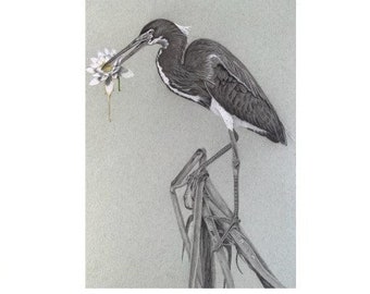 Heron and Honey- 5x7 print of original art, wildlife art