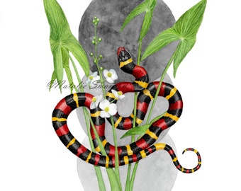Scarlet Kingsnake & Broadleaf Arrowhead, 8x10 print of original art, watercolor