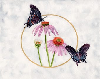 Swallowtails and Echinacea print, original watercolor art, 8x10