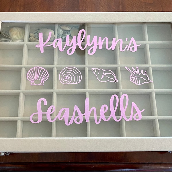 Seashell Display Box Etsy