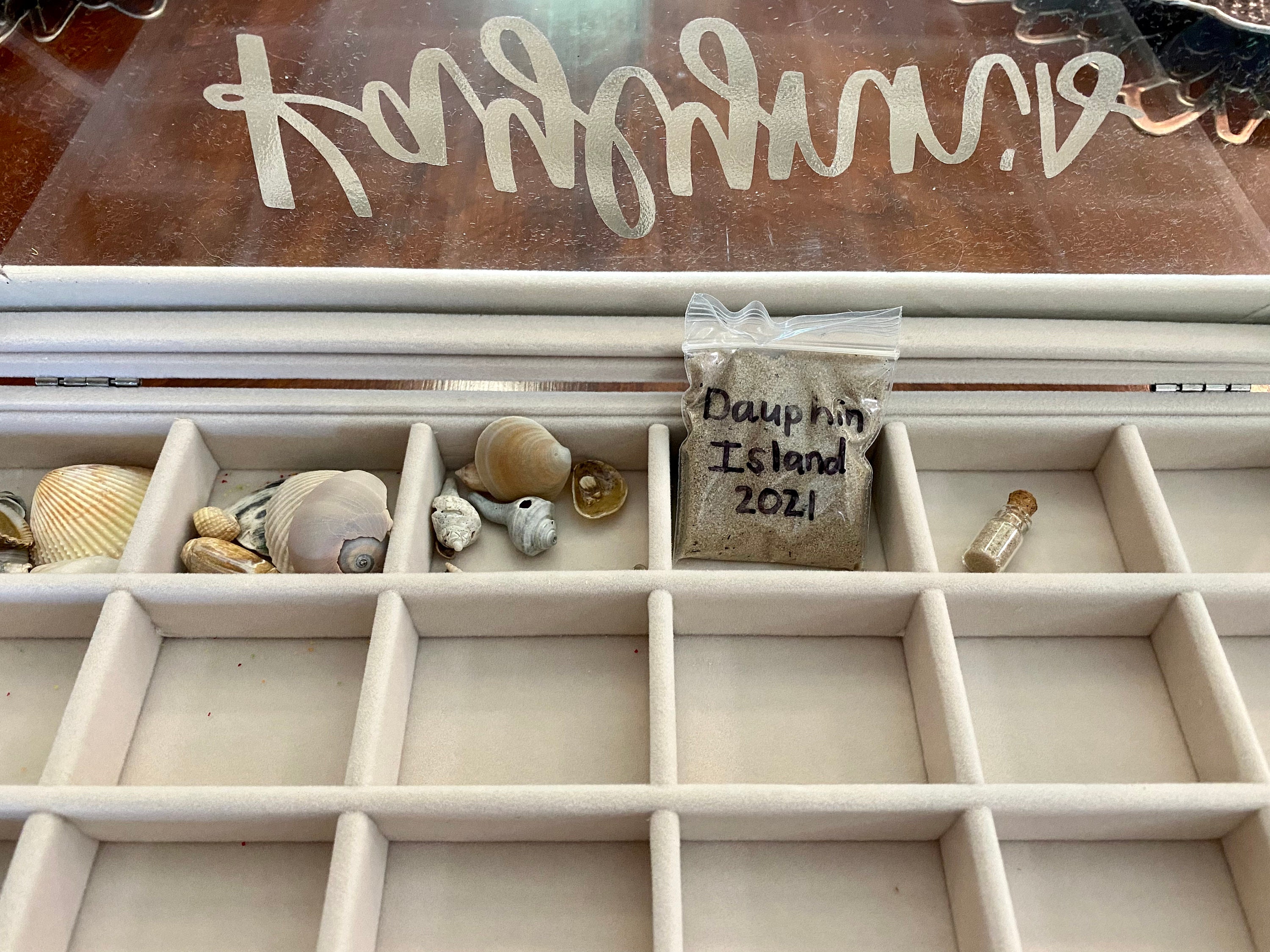 Seashell Collection Display Seashell Collection Container Etsy