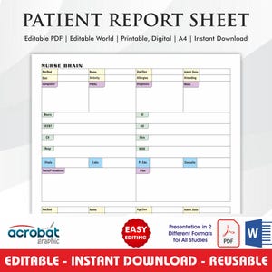 Nurse Brain Sheet PDF | Editable 2 Patient Report | Med Surg ICU Handoff | Fillable Nurse Report Sheet | New Grad Nursing Tool