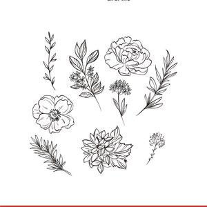 Floral Line Art SVG Bundle, Hand Drawn Botanical Flowers and Leaves, PNG DXF Eps Pdf, Laser Cut Clipart for Cricut and Silhouette