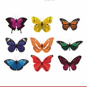 Colorful Butterfly SVG Clipart, Layered Butterfly Vector for Cricut, Sublimation and Laser Cut Crafts, Png Dxf Eps Pdf Files