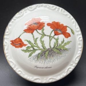 May include: A white porcelain trinket dish with a gold rim features a botanical illustration of red poppies with green leaves and stems. The text "Papaver rhoeas" is printed below the flowers.
