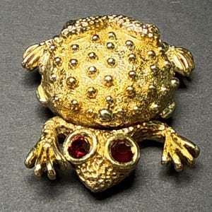 Puede incluir: Un broche de rana de tono dorado con ojos de piedra preciosa roja. La rana está detallada con una superficie texturizada y abultada.