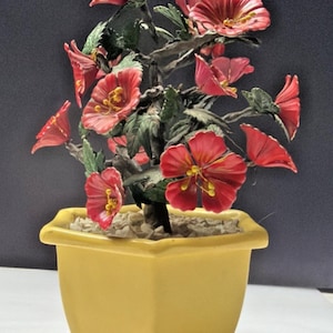 Hibiscus Bonsai - Etsy