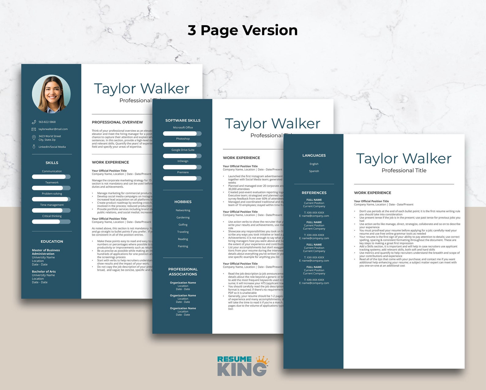 Ceo Resume Template Cfo Resume Template Hr Resume Template