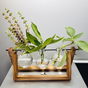 Plant Lover Gift Propagation Station, Minimalist Plant Propagation Holder, Boho Plant Decor Gift, Indoor Gardening Gift for Her