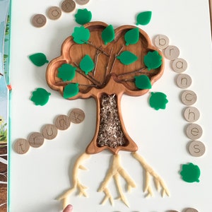 Wood Sensory Tray | Tree Plate | Tree Toys | Kids Gift | Homeschool | Educational Toy | Wood Toys | Sensory Bin | Toddler Toys | Flisat