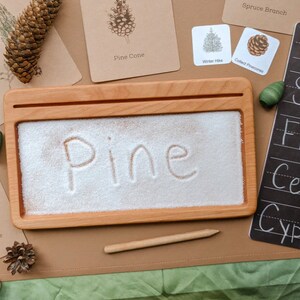 Plateau sensoriel en bois | Porte-cartes Flash | Plateau pour cartes Flash | Montessori | Cadeau pour enfants | jouet éducatif | École à la maison | Jouets en bois | Poubelle sensorielle