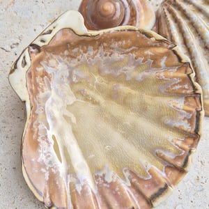 Könnte beinhalten: Eine Keramikschale in Form einer Jakobsmuschel mit einer glänzenden, rissigen Glasur in Beige-, Creme- und Brauntönen. Die Schale hat einen gewellten Rand und eine strukturierte Oberfläche, begleitet von zwei natürlichen Muscheln im Hintergrund.