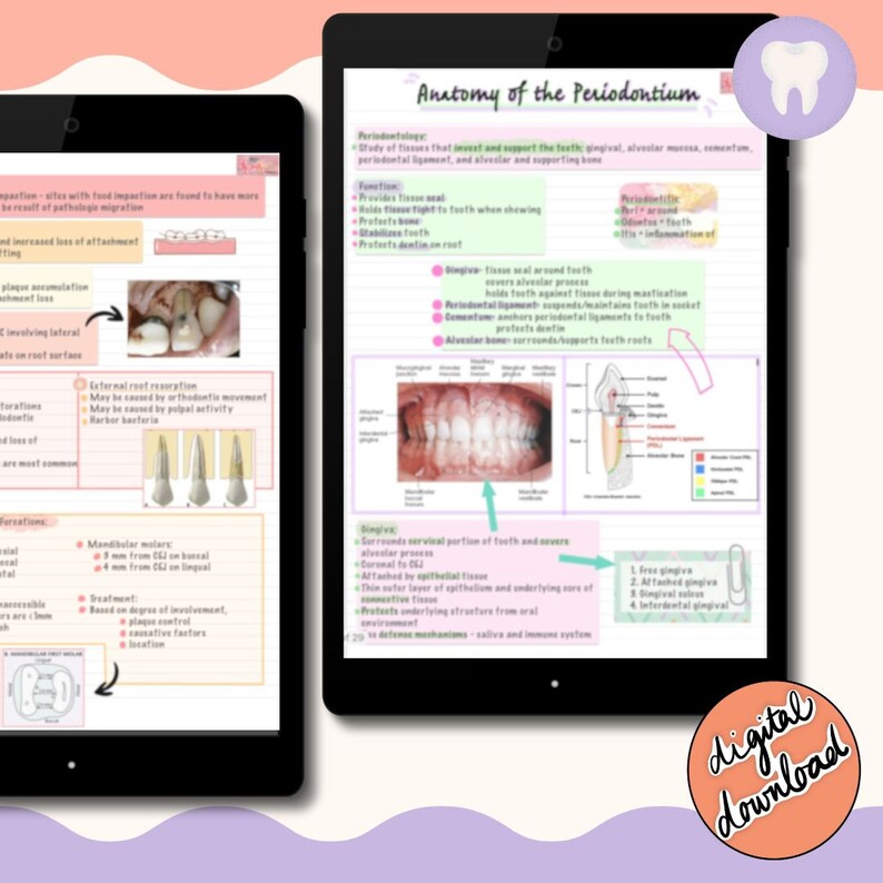 Notes bundle dental hygiene periodontology digital pdf download for