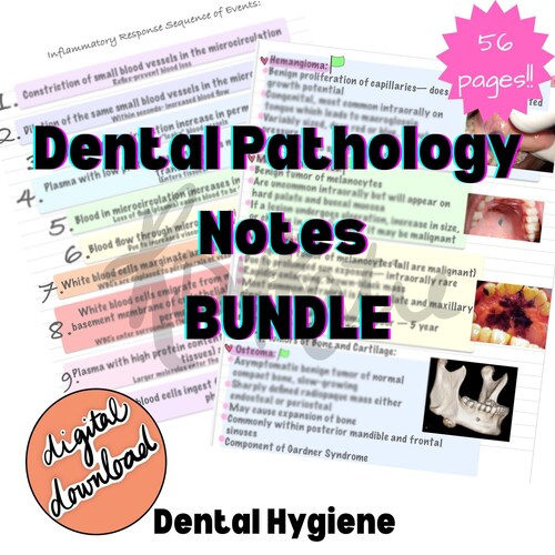 Dental Hygiene Anatomy Bundle Study Guide Digital Download Etsy