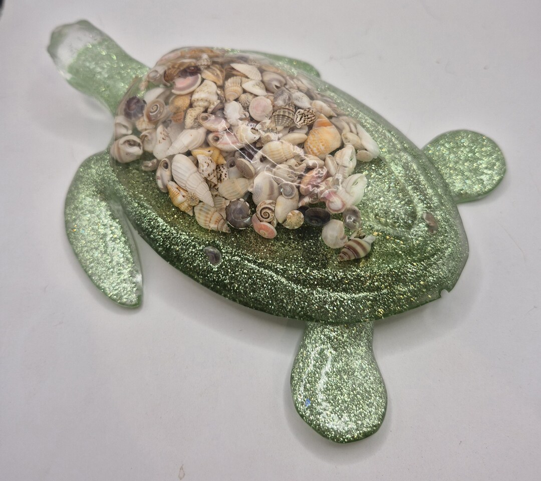 Shell Turtle - Etsy