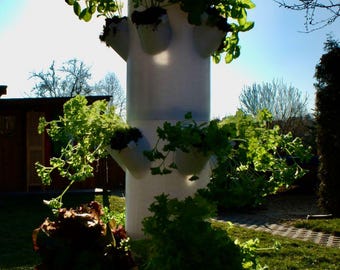 Op de afbeelding: Een witte verticale toren met meerdere niveaus voor het kweken van planten. De toren is gevuld met verschillende groene bladplanten, waaronder sla en kruiden. De toren staat buiten op een zonnige dag.