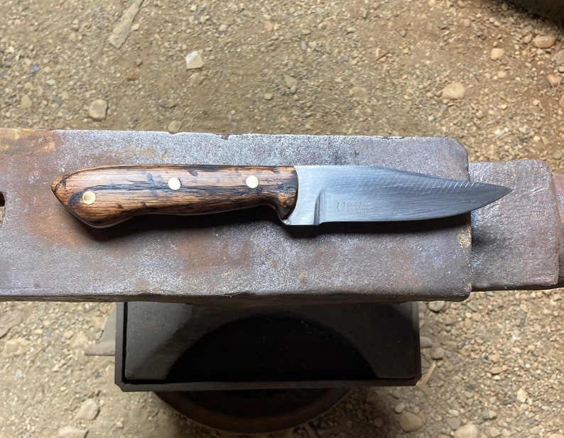 Hand Farrier Rasp Knife With Handmade Kydex Sheath Etsy