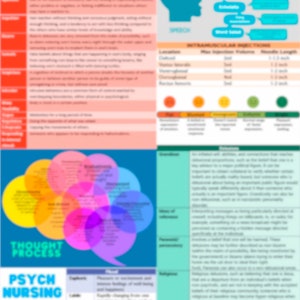 Informatieblad psychiatrische verpleegkunde/gids met hulpmiddelen