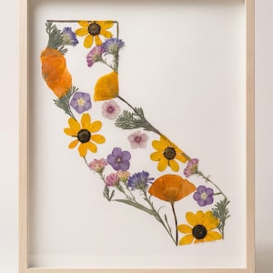California Art Print, Wildflower, State, Decor, Gift