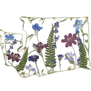 May include: A pressed flower art piece featuring a floral arrangement in the shape of a state. The artwork showcases a variety of dried flowers in shades of blue, purple, and green, set against a white background.