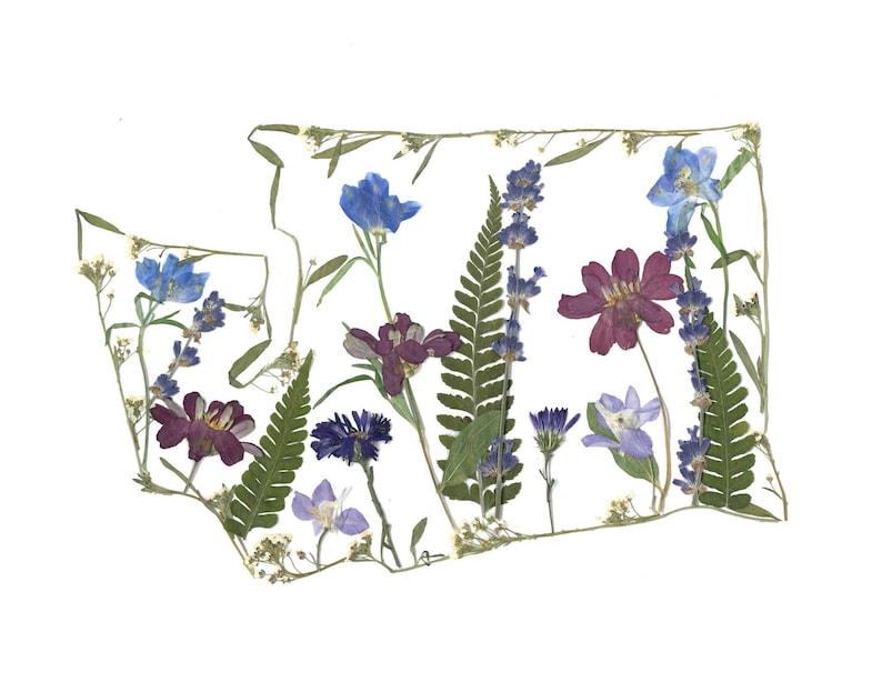 May include: A pressed flower art piece featuring a floral arrangement in the shape of a state. The artwork showcases a variety of dried flowers in shades of blue, purple, and green, set against a white background.