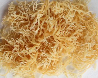 Dried Gold Sea Moss - Wildcrafted, Grade A, St. Lucian