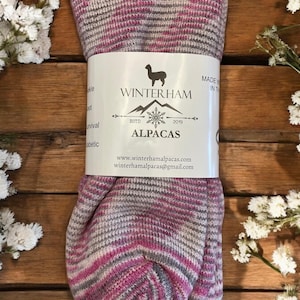 May include: A pair of pink and gray striped alpaca socks with a white label that reads "Winterham Alpacas" with a logo of an alpaca and a snowflake. The label also includes the website address "www.winterhamalpacas.com" and the email address "winterhamalpacas@gmail.com".