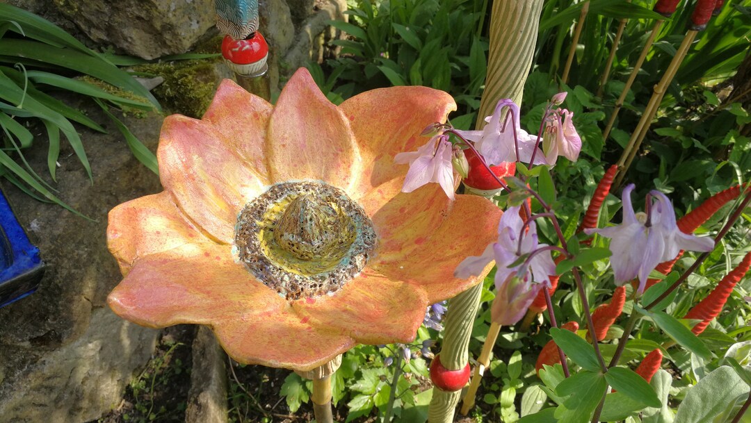 Riesenmärchenblume Keramik Altrosa Gelb Verlauf Gartenblume Etsy