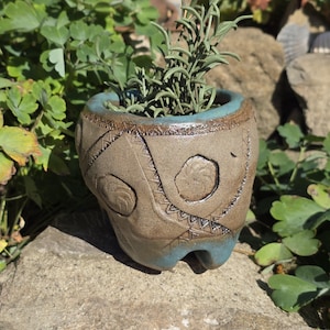 Può includere: Un piccolo vaso in ceramica rotondo color marrone chiaro con bordo e base color ottanio. L'esterno presenta motivi geometrici intagliati a mano e rientranze circolari. Una pianta verde con foglie sottili cresce all'interno del vaso.