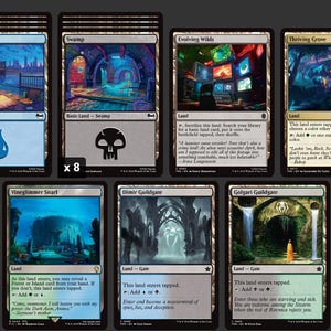 K&ouml;nnte beinhalten: Eine Sammlung von Magic: The Gathering Landkarten, darunter Wald, Insel und Sumpf, jeweils mit einzigartigen Illustrationen. Die Karten zeigen verschiedene Landschaften und Symbole, mit der Anzahl jedes Kartentyps.