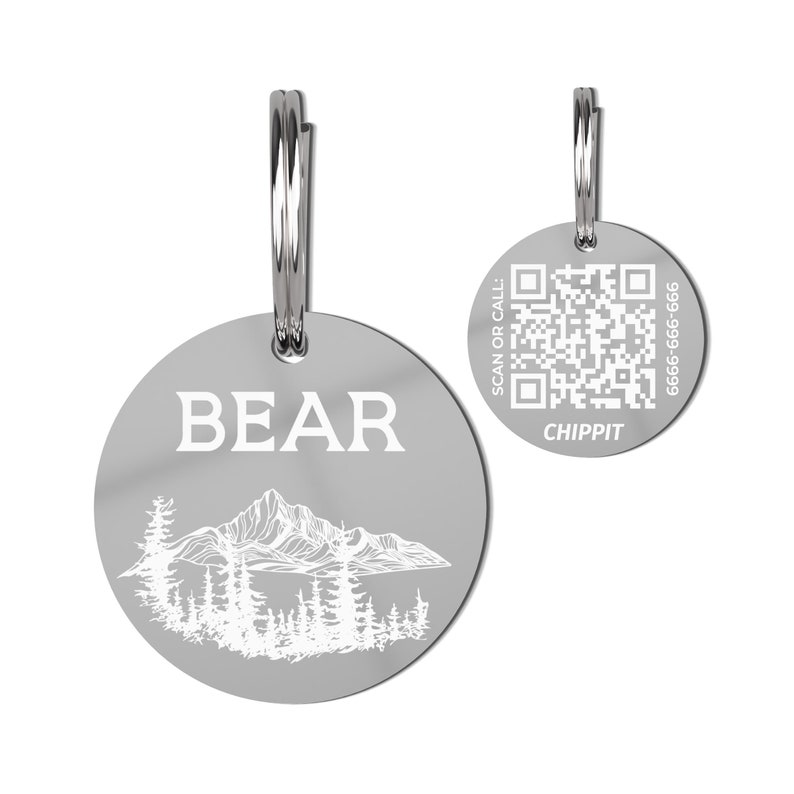Stainless Steel Personalized Pet ID Tag with QR Code Online Profile Cute Mountains Pet Tag Custom Pet Tag Made in the US for Dogs Silver