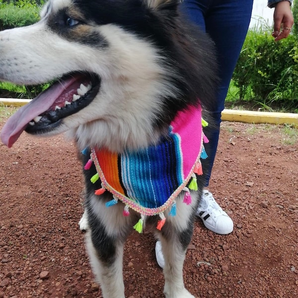 Mexican Dog Bandana/ Embroidered Mexican Dog Bandana/ Handmade Dog Bandana