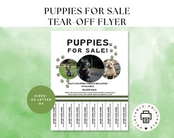 Professional Dog Breeding Business Tear Off Flyer|Canva template|  Pet business marketing|Puppy Breeder Whelper marketing