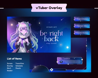 VTuber Overlay Pack | Animated Alerts, Panels, Transitions for Twitch, YouTube
