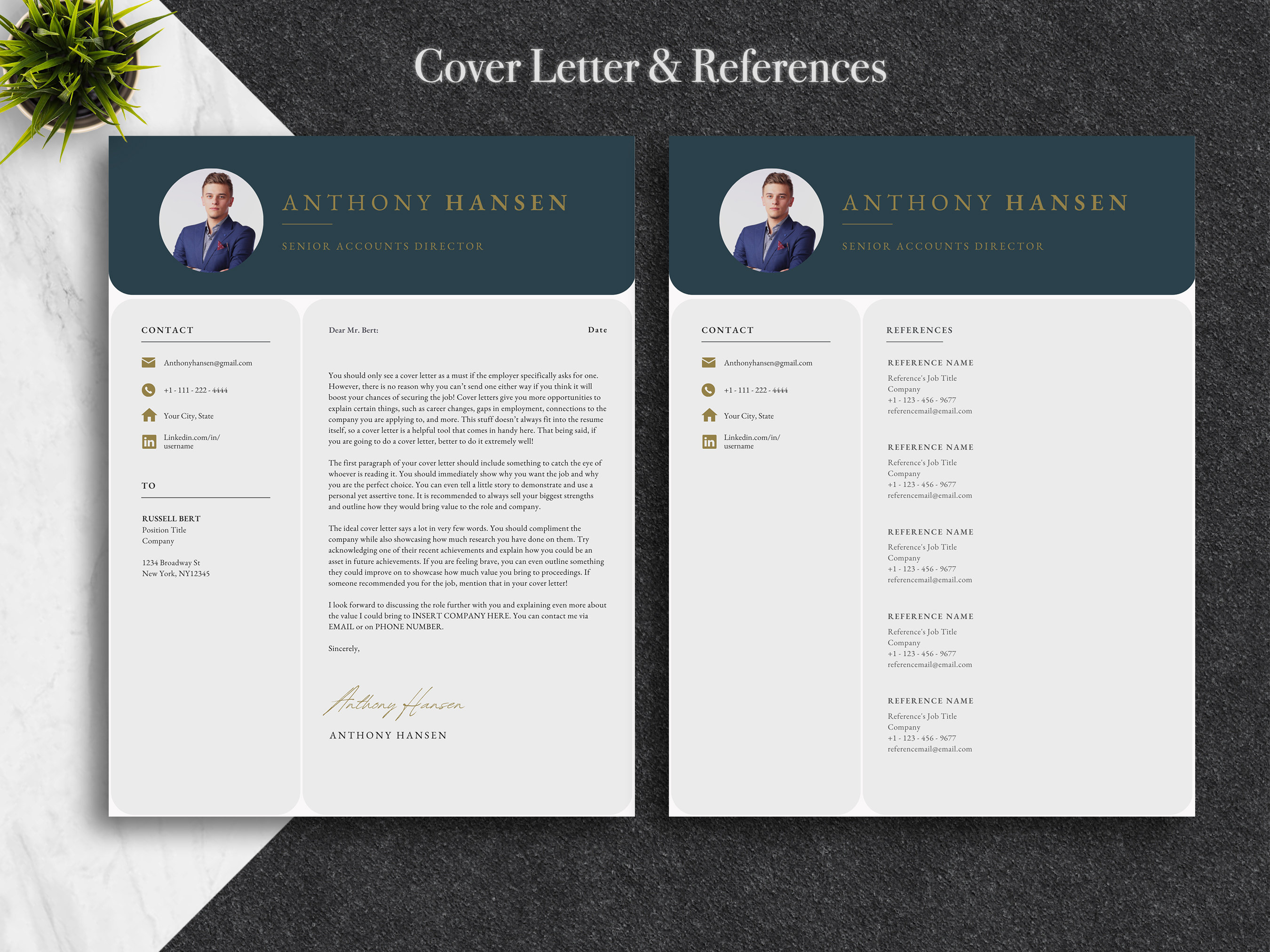 Modern Canva Resume Template for Canva Canva CV Template, Resume ...