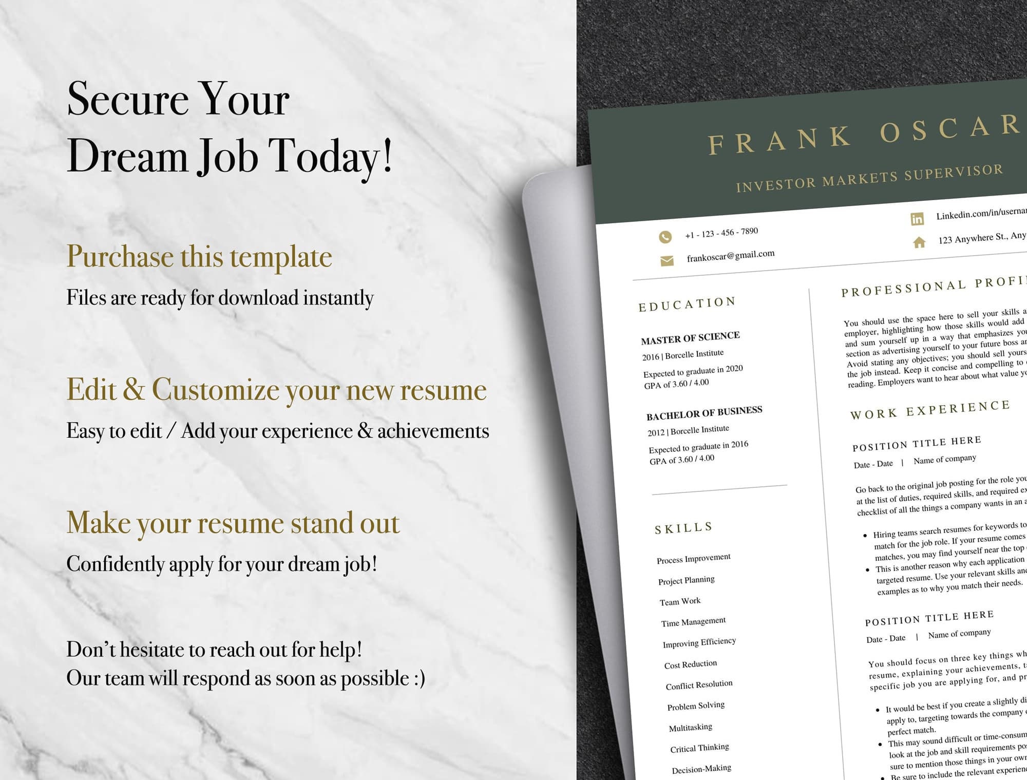 Canva Executive Resume Template | Modern Professional CV (US Letter+a4 ...