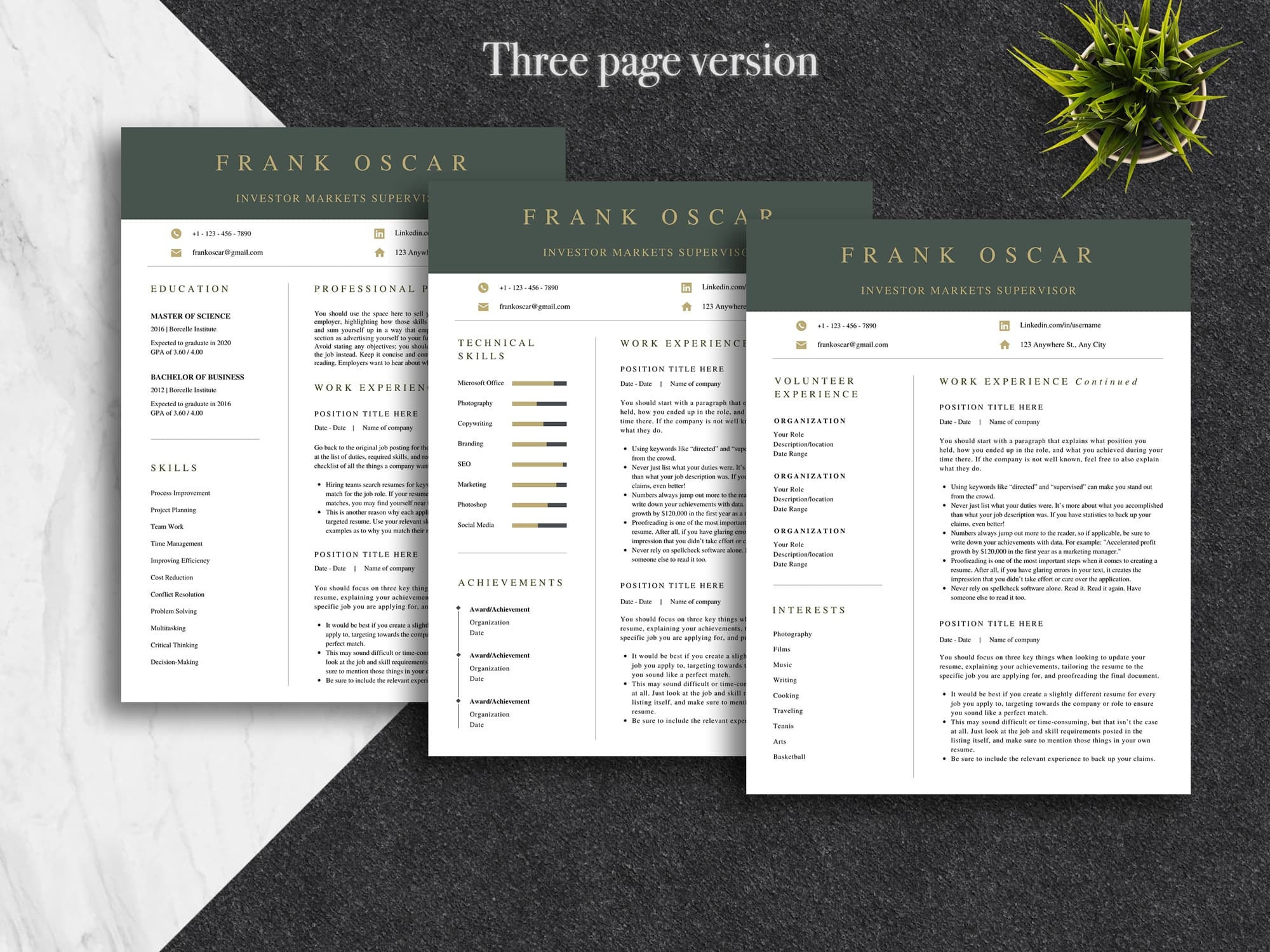 Canva Executive Resume Template | Modern Professional CV (US Letter+a4 ...
