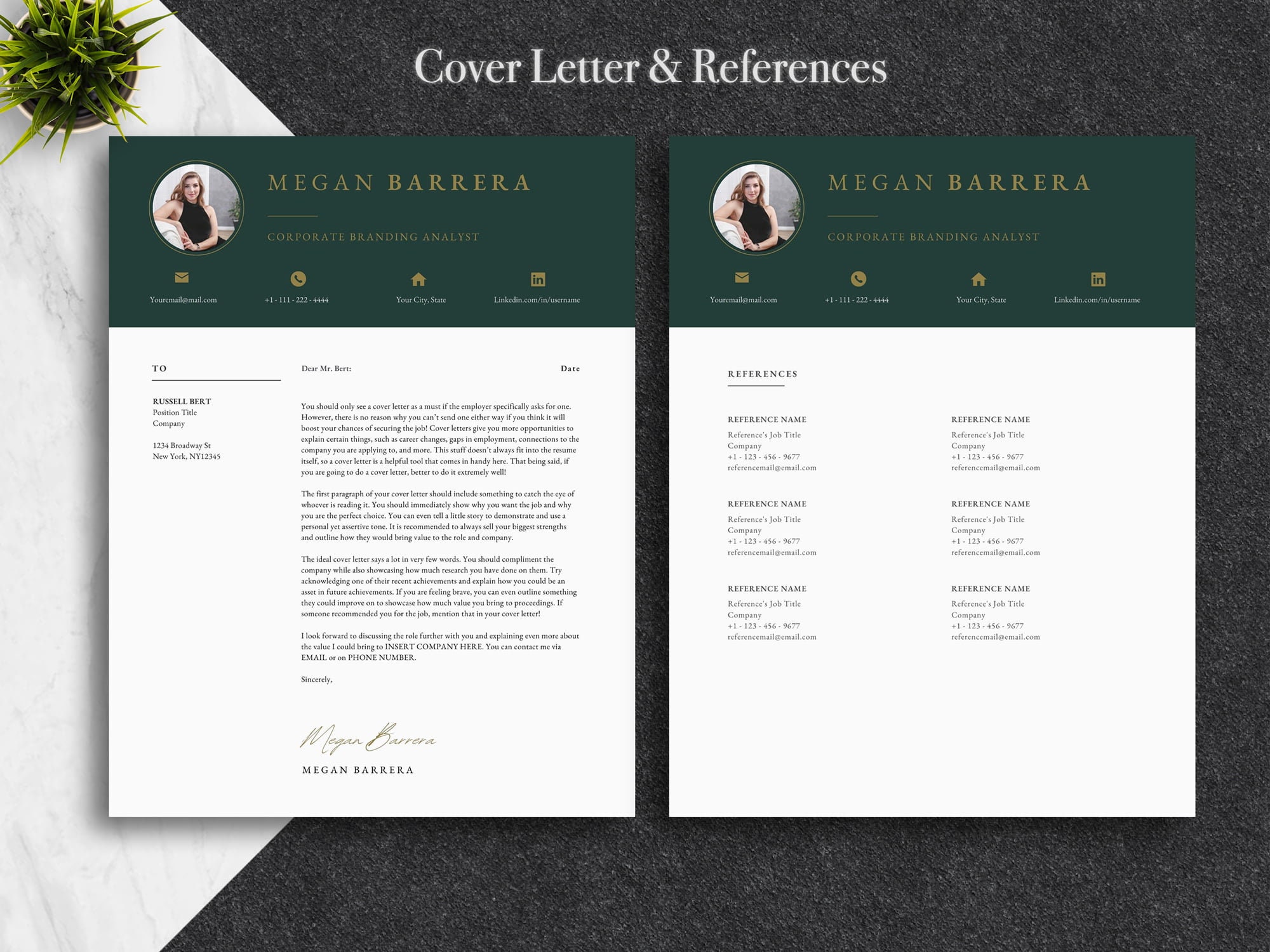 Professional Modern Resume Template for Canva, Clean Modern Executive ...