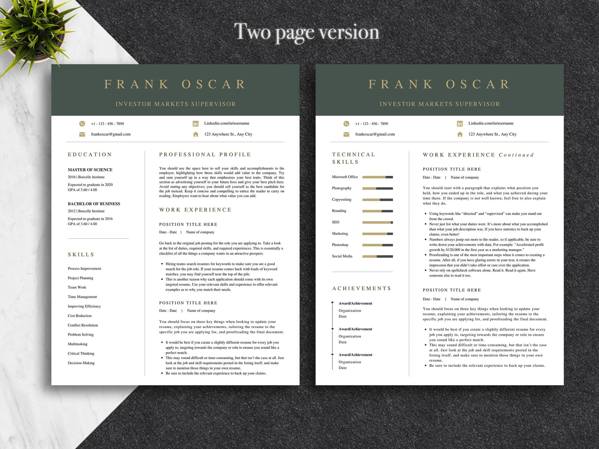 Canva Executive Resume Template | Modern Professional CV (US Letter+a4 ...