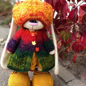 K&ouml;nnte beinhalten: Ein geh&auml;keltes H&auml;schen, das einen mehrfarbigen Pullover, eine M&uuml;tze und gelbe Schuhe tr&auml;gt. Das H&auml;schen steht vor einem Busch mit roten Bl&auml;ttern. @soni_toys Irina Tarasova